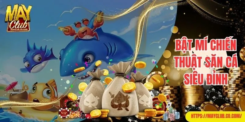 Bật mí chiến thuật săn cá siêu đỉnh